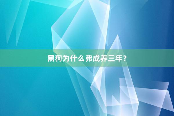 黑狗为什么弗成养三年？